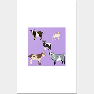 Purple Nigerian Dwarf Goats Pattern Posters and Art